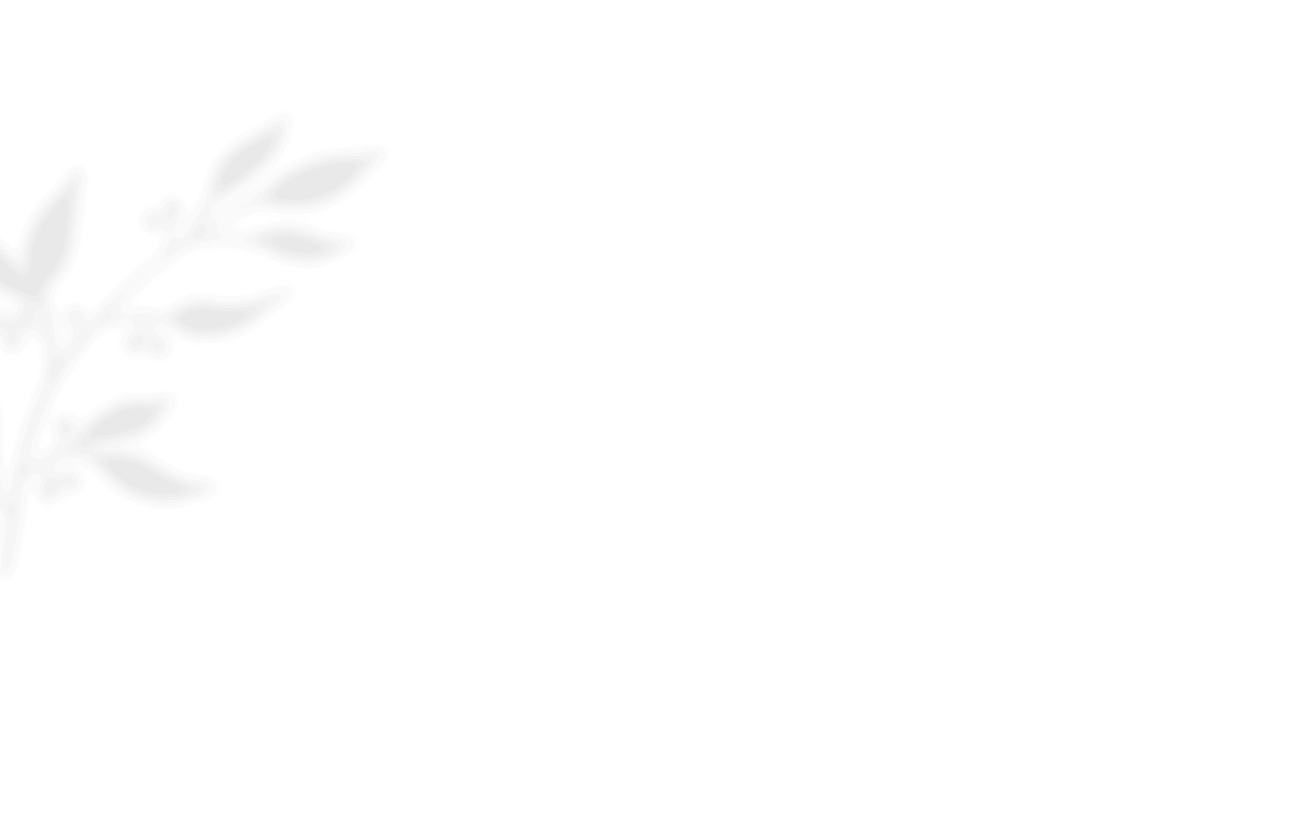 shadow_leaves_01 https://alwaysandforeverbyemily.com.au/wp-content/uploads/2020/12/shadow_leaves_01.png