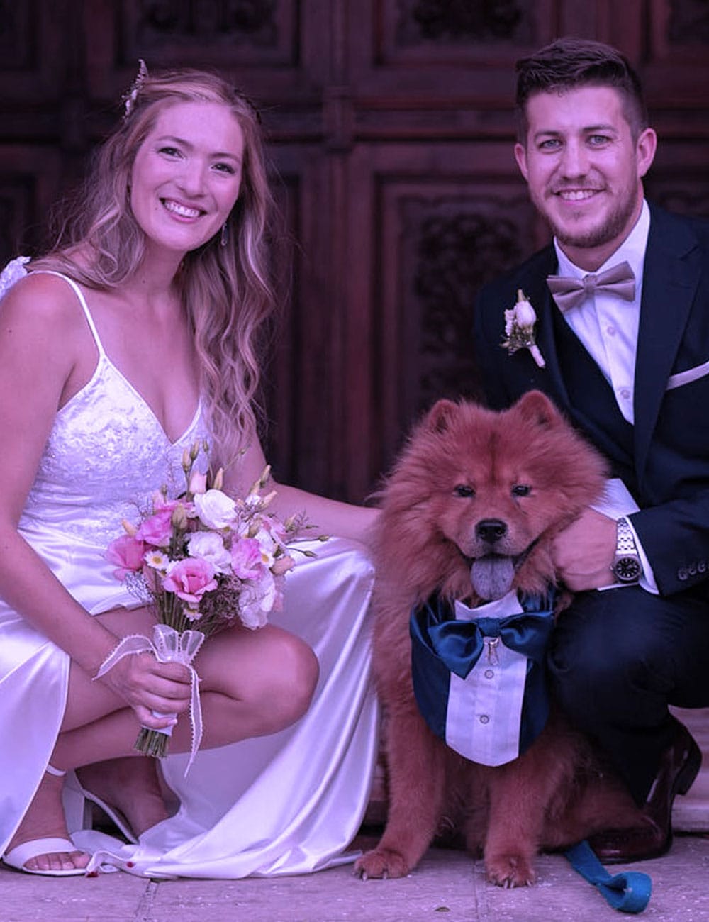 https://alwaysandforeverbyemily.com.au/wp-content/uploads/2025/10/pets.jpg